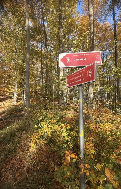 Planinarska staza Sokolina u Parku prirode Papuk, na putu prema Jankovcu.